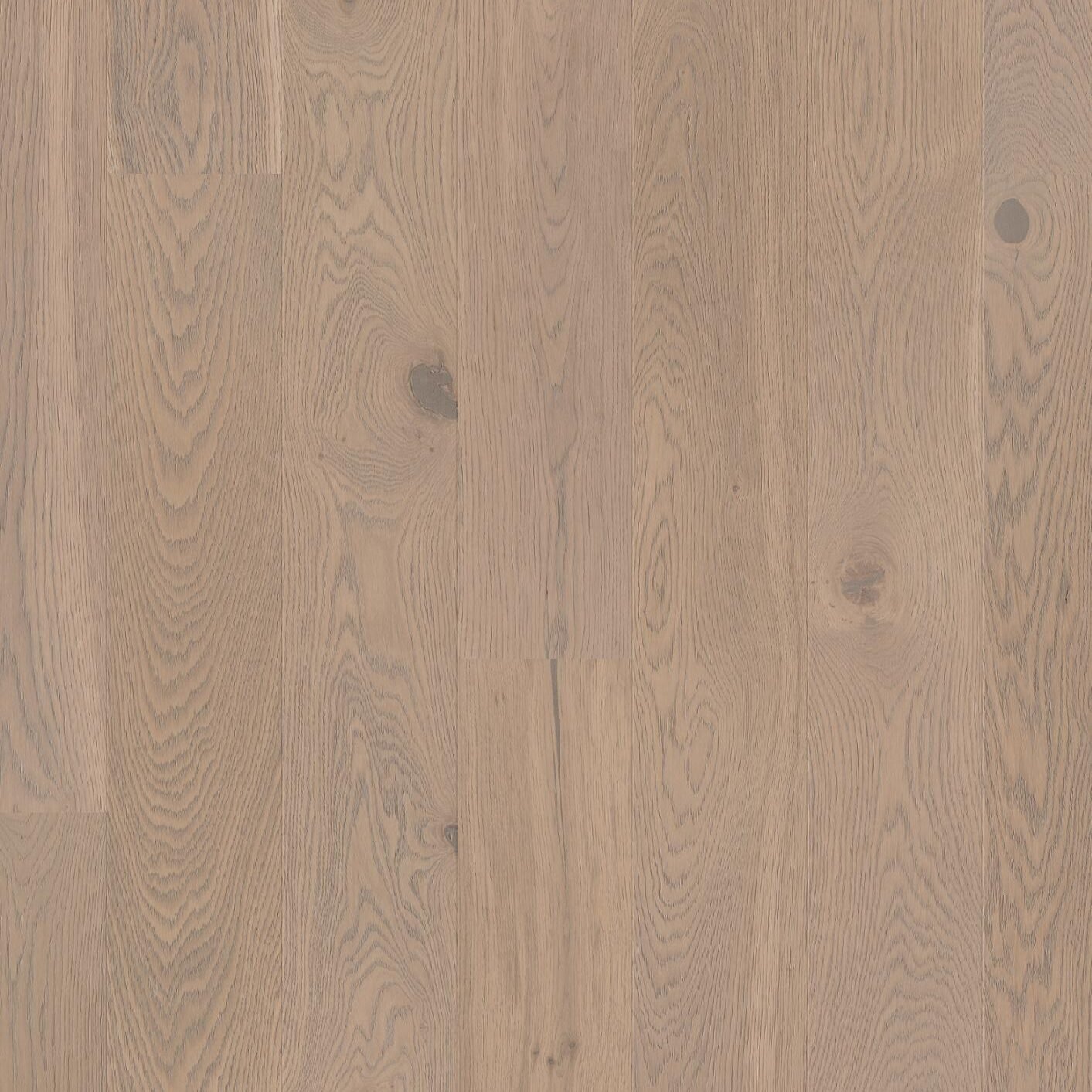 Parkett Eik Concrete Grey Crescendo 181 Live Pure